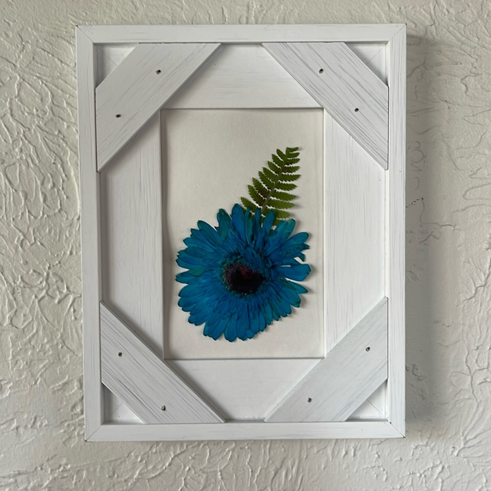 Dried pressed floral wall art. This would make a great gift for anyone